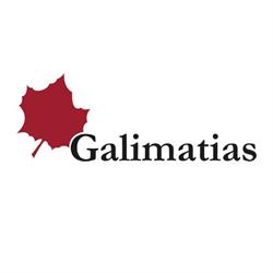 Galimatias Concept Oy Ab Language Training and Translations