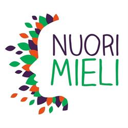 MIELI Kainuun mielenterveys ry / MIELI Kriisikeskus Kainuu / Nuorimieli -toiminta