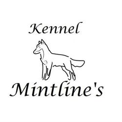 Kennel Mintline's