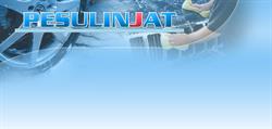 Pesulinjat