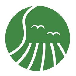 Marjatila Särkiö