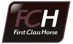 First Class Horse