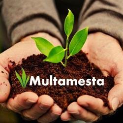 Multamesta Oy