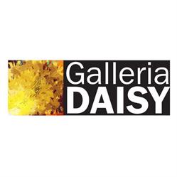 Galleria Daisy