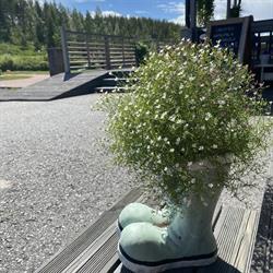 Rämäkkä Holidays