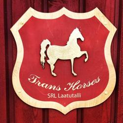 Trans Horses Ky