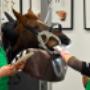 # 10