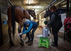 Palvelut ja Hinnasto Talliklinikka