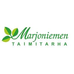 Marjoniemen Taimitarha