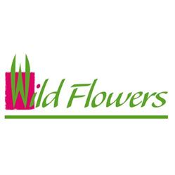 Kukkakauppa Wild Flowers