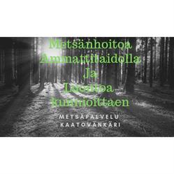 Metsäpalvelu Kaatovänkäri