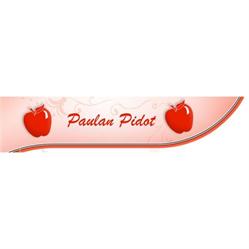 Paulan Pidot