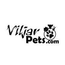 Islanninhevostalli Viljar