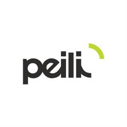 Peili Consulting Oy