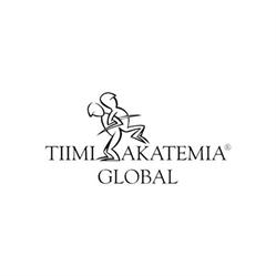 Tiimiakatemia Global