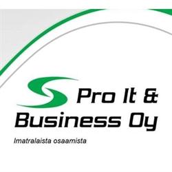 Pro It & Business Oy