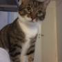 # 4