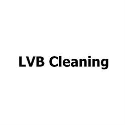LVB Cleaning