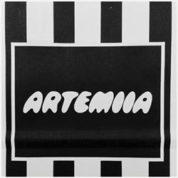 Artemiia Huittinen