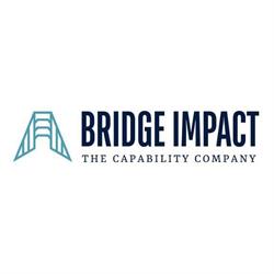 Bridge Impact Oy