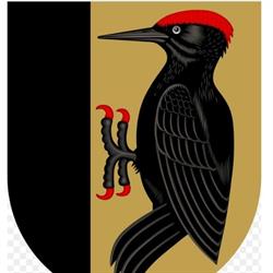 Lieksa-Pielisjärvi -seura ry