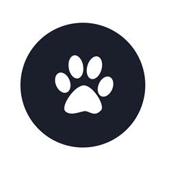 Tassutalo
