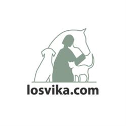 Losvika City Clinic