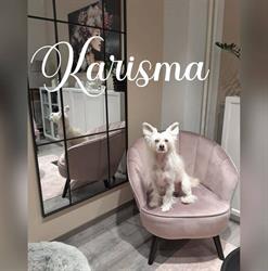 Karisma