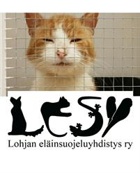 Lohjan eläinsuojeluyhdistys Lesy ry.