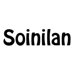 Soinilan oy