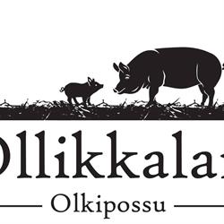 Ollikkalan Olkipossu