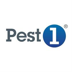 Pest1 Oy