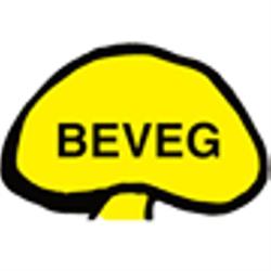 Beveg Ky