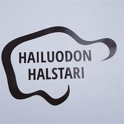 Hailuodon Halstari Oy
