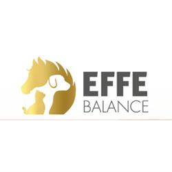 Effe Balance Oy