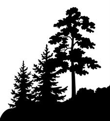 Metsätyö Markop Oy