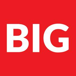 BIG Business Insight Group