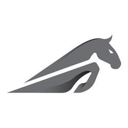 Stable Nova