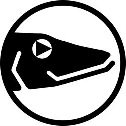 Hauki Media