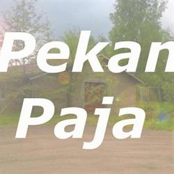 Pekan Paja