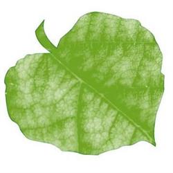 Puutarhasuunnittelu Lindén