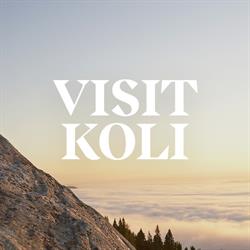 VisitKoli