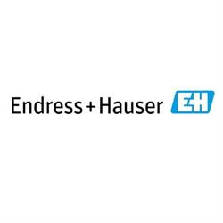 Endress+Hauser Oy