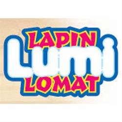 Lapin Lumilomat Oy