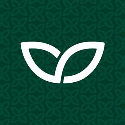 Wikli Group oy