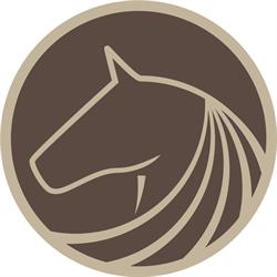 Eläinlääkäri Mari Vettenranta/ MVET Oy