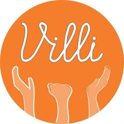 Kulttuuritalo Villi
