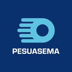 Pesuasema