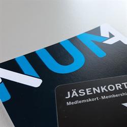 Numerologiikka Oy