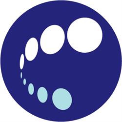 Projektiammattilaiset ry